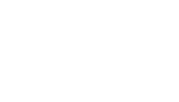 WiseVat Logo